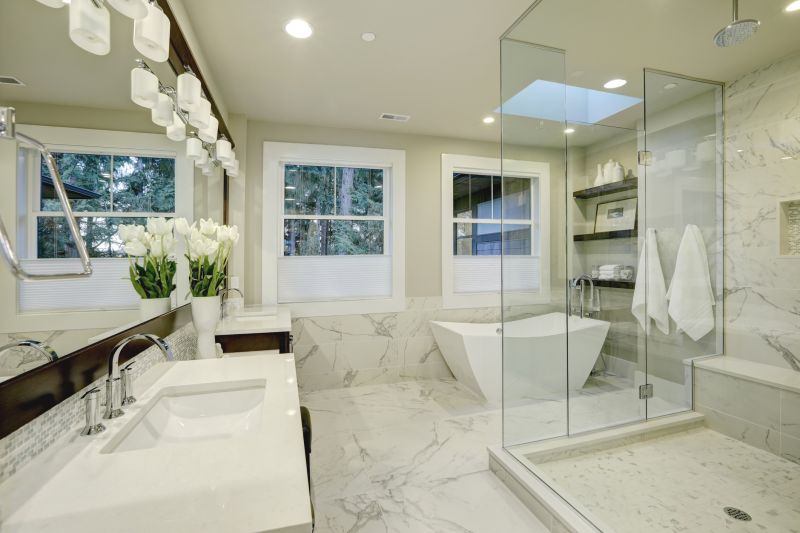 Stylish Shower Designs