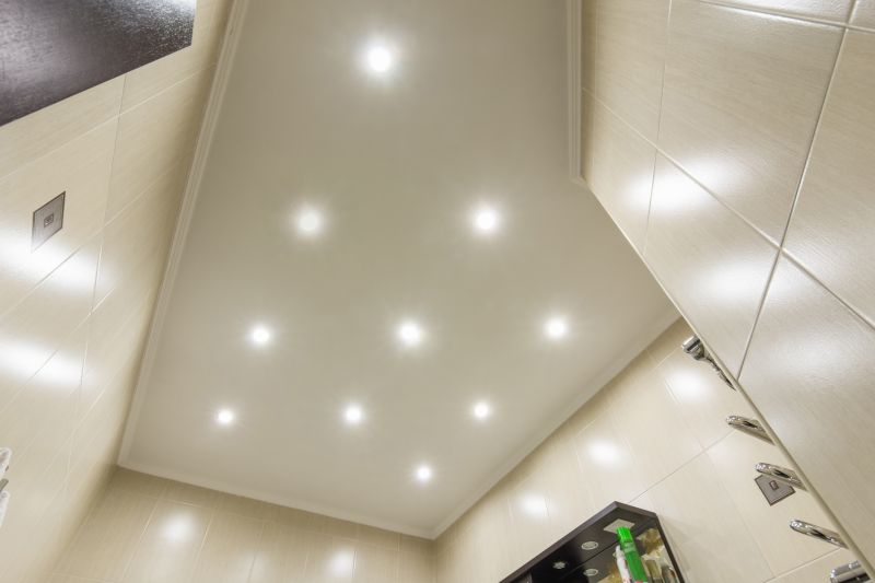 Lighting and Electrical Contractors